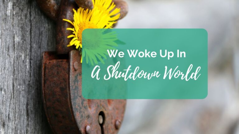 We Woke Up In A Shutdown World
